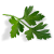 uu